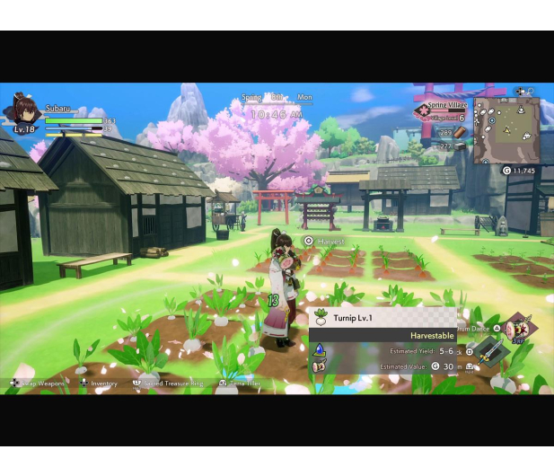 PlayStation Rune Factory Guardians of Azuma - 1478154 - zdjęcie 3